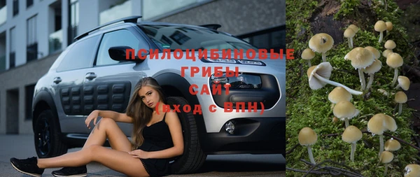 МДПВ Алексеевка