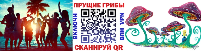 купить наркотики сайты  Ишимбай  Псилоцибиновые грибы MAGIC MUSHROOMS 